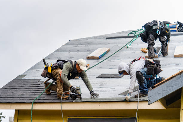 Professional Storm Damage Roof Repair technician working in Huddleston, VA